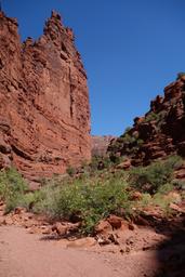 The wall in the main fork of titan canyon [sun sep 16 13:22:47 mdt 2018]